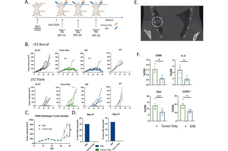 Selective nodal radiation may be a more effective approach in cancer treatment