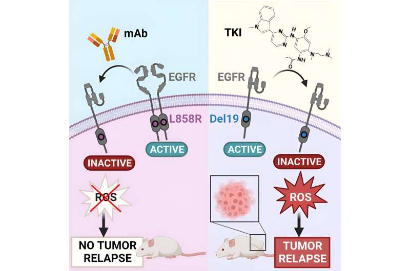 A select group: Study may bring improved therapy to preselected lung cancer patients