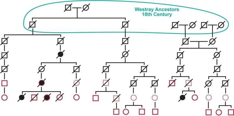 Research reveals Orkney cancer gene link—now testing to take place