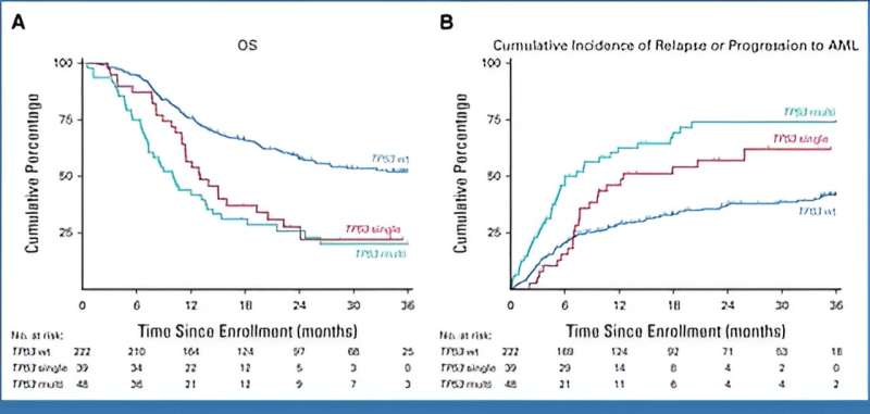 Allogenic hematopoietic cell transplant a viable option for high-risk myelodysplastic syndrome, study suggests