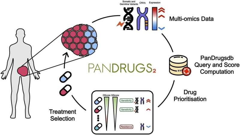 A program that looks for the most effective drugs for each patient's cancer helps to personalise cancer treatments