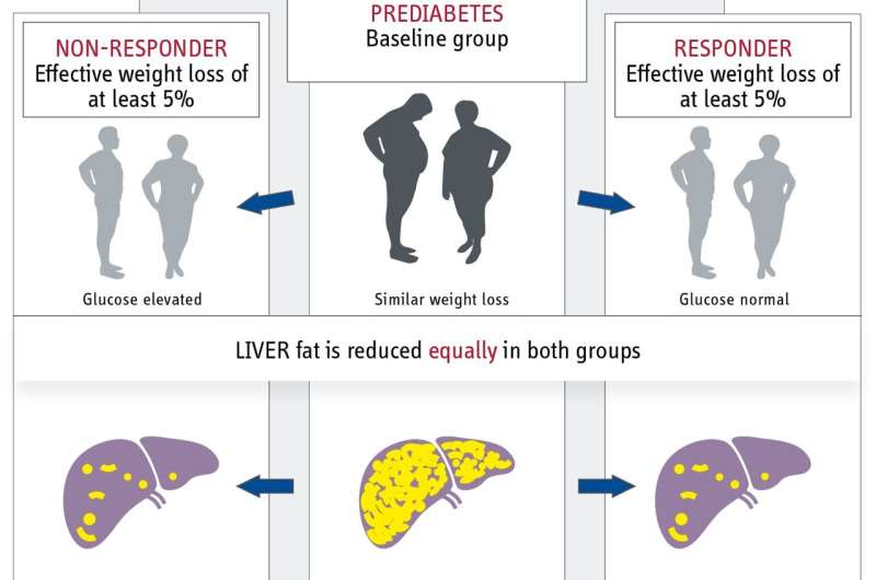 New study advocates remission as therapeutic goal in prediabetes