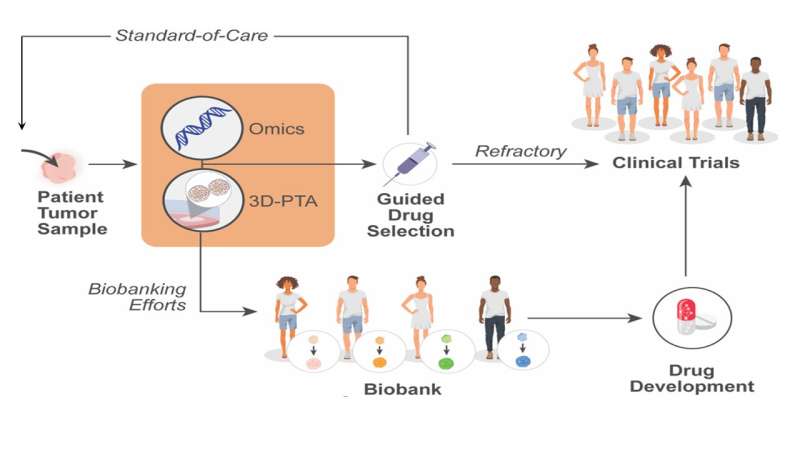 3D-patient tumor avatars: Maximizing their potential for next-generation precision oncology