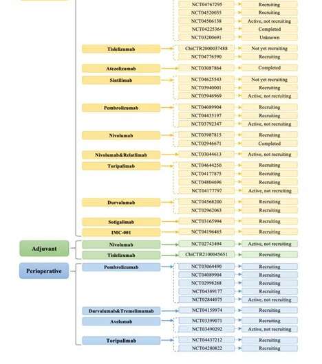 Chinese Medical Journal Review covers progress in immunotherapy for esophageal cancer