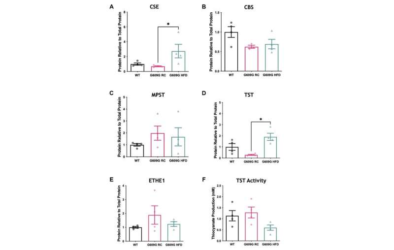 Hepatic hydrogen sulfide levels are reduced in mouse model of progeria