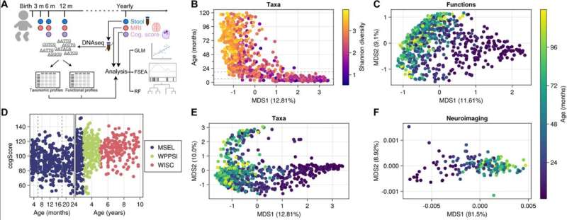 Study reveals relationship of gut microbiome on children's brain development and function