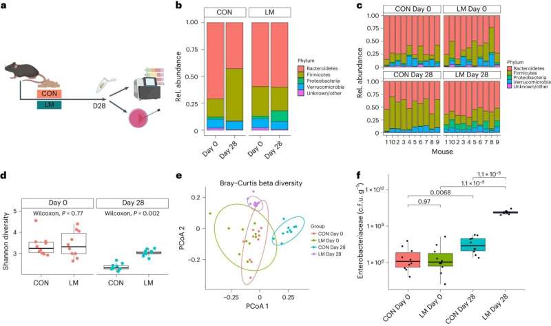 Study reveals surprising link between malnutrition and rising antibiotic resistance