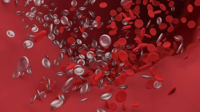 Popular blood thinner associated with higher risk of bleeding complications