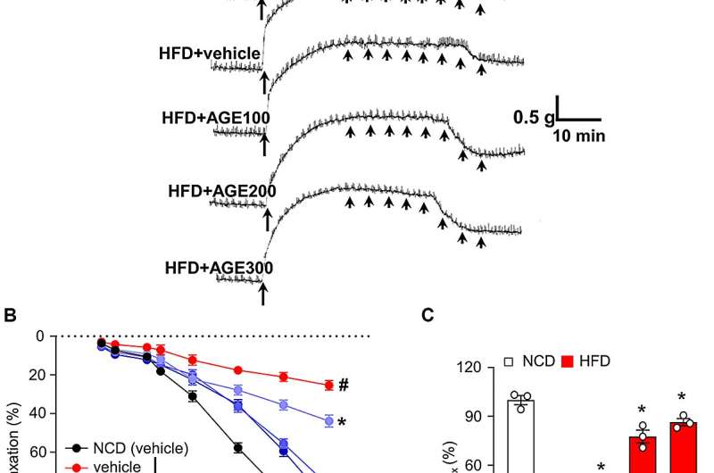 Medicinal herb found to inhibit acetylation of eNOS in vascular dysfunction