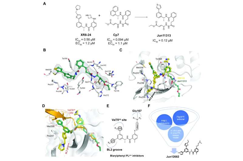 Researchers race to develop Paxlovid replacement