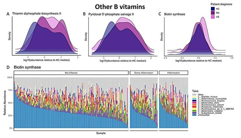 Alterations in the gut microbiome tied to inflammatory types of arthritis