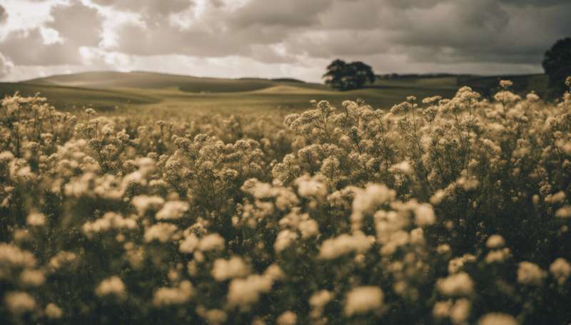 Why hay fever is so bad in the UK right now—and why thunderstorms make things worse