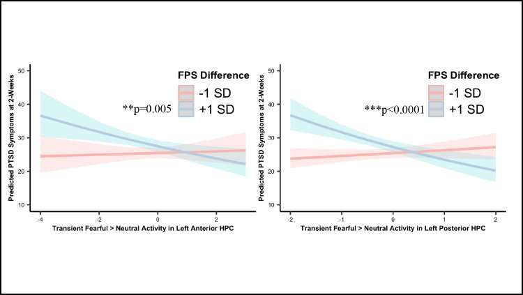 Severity of PTSD symptoms linked to decreased activity in hippocampus