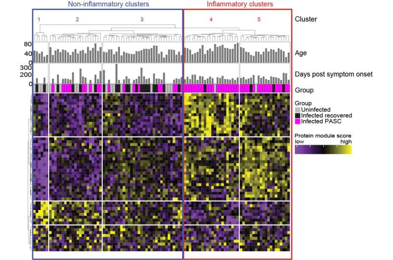 Many long COVID patients suffer from persistent inflammation, study finds