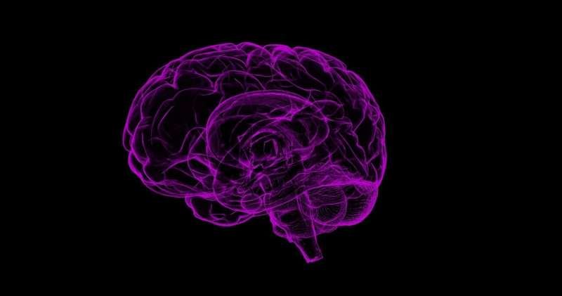 Genes expressed in the brain before birth may affect risk of childhood mental illness