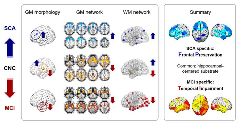 Successful or pathological cognitive aging? The 'frontal preservation, temporal impairment (FPTI)' hypothesis