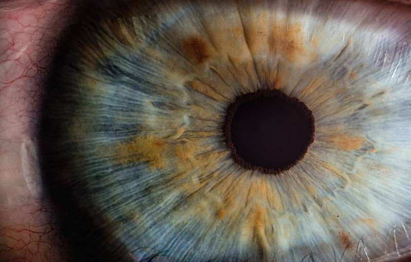 Not-so private eyes: Eye movements hold clues to how we make decisions