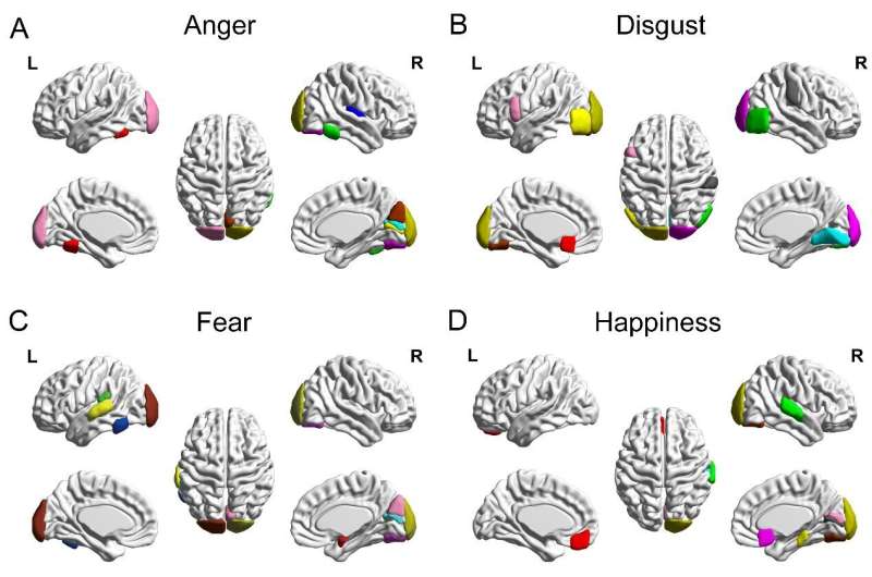 Decoding six basic emotions from functional brain connectivity patterns