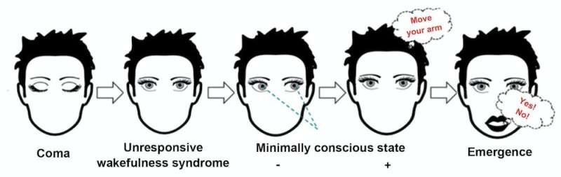 Emerging from a coma: response to language can help assess states of consciousness