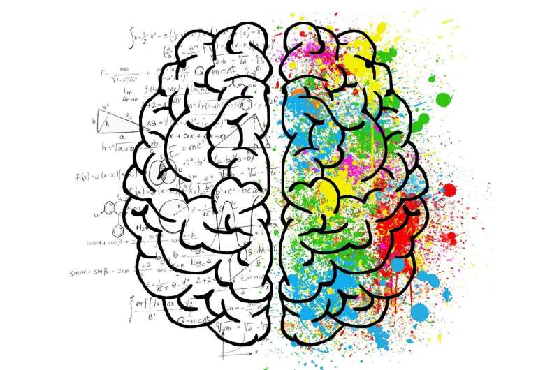 The hemispheres are not equal: How the brain is not symmetrical