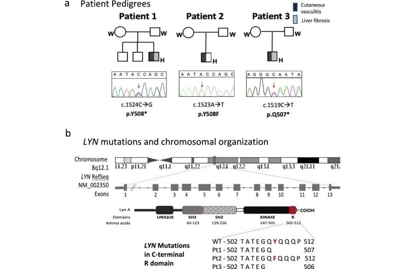 Researchers discover new autoinflammatory disease, suggest target for potential treatments