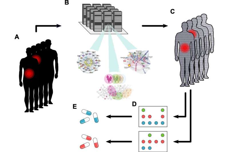 Digital twin opens way to effective treatment of inflammatory diseases