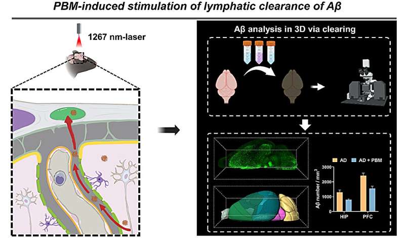 Photostimulation of lymphatic clearance of β-amyloid: A new strategy for Alzheimer's disease therapy 