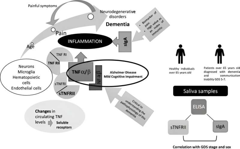 Two biomarkers in saliva could provide a means to detect pain in people with dementia 