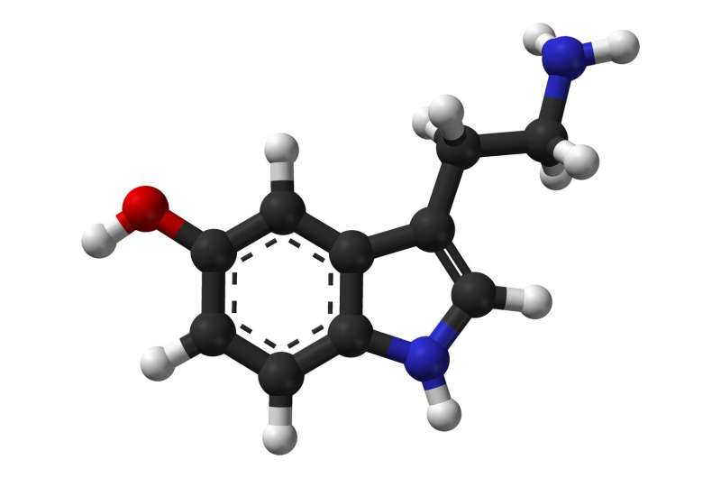 Study suggests serotonin loss may contribute to cognitive decline in the early stages of Alzheimer's disease 