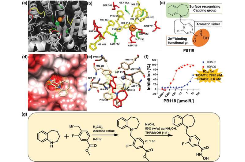 Researchers identify a new small molecule inhibitor for use against Alzheimer's disease 