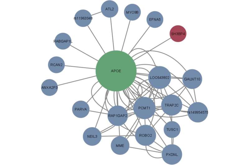 Researchers use AI to discover two new genetic variants for Alzheimer's disease 