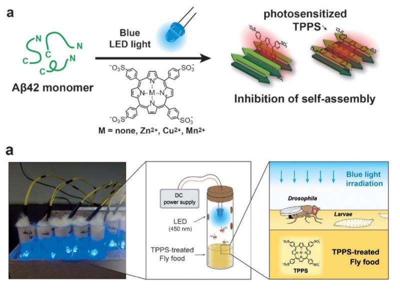 Using light to treat Alzheimer's disease