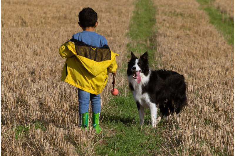 child playing with dog