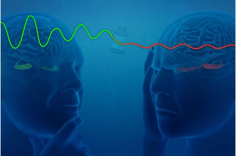 Study maps brain wave disruptions affecting memory recall 