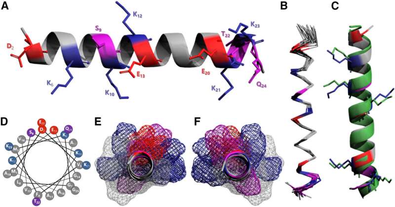 'Anti-tangle' molecule could aid search for new dementia treatments, say scientists 