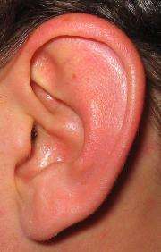 ear