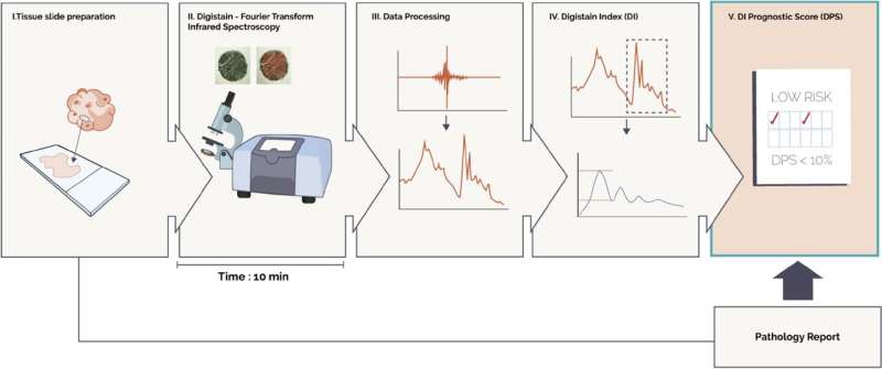 Method that rapidly predicts breast cancer survival rates clinically validated