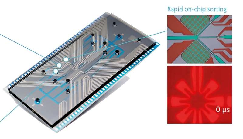 Cytometry chip supports new revolution in cancer care