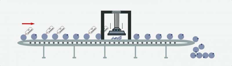 Researchers at IRB Barcelona study how altered protein degradation contributes to the development of tumors