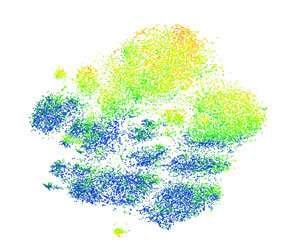 Virus-targeting white blood cells in tumors offer intriguing insights into responsiveness to immunotherapy