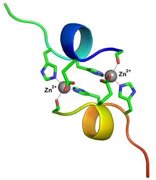 Peptide complex formed in the brain is responsible for Alzheimer's disease