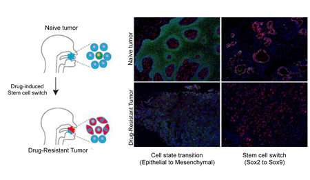 Fighting cancer one cell at a time