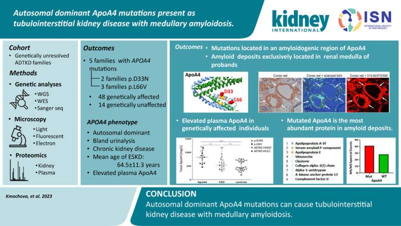 Scientists identify mutations that cause inherited kidney disease 