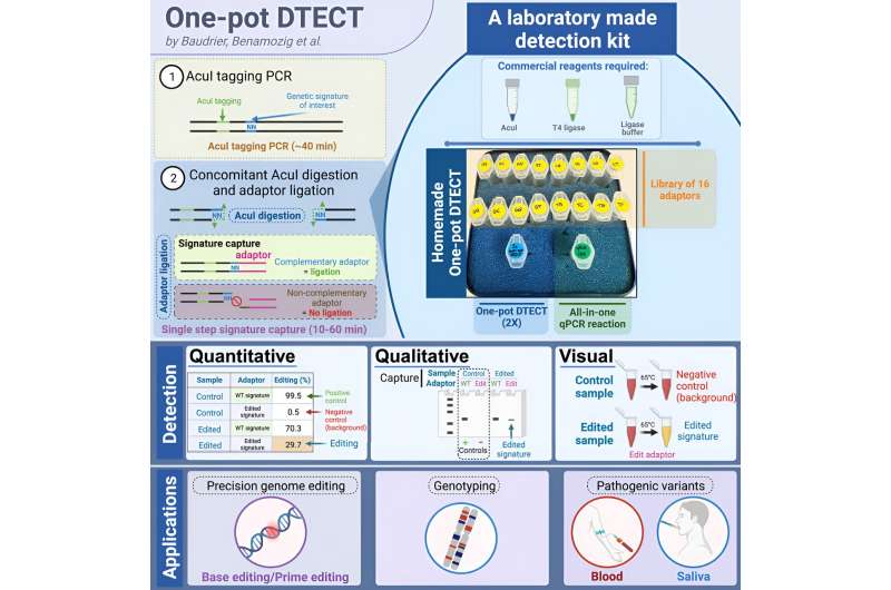 Researchers create a new tool to rapidly diagnose genetic mutations