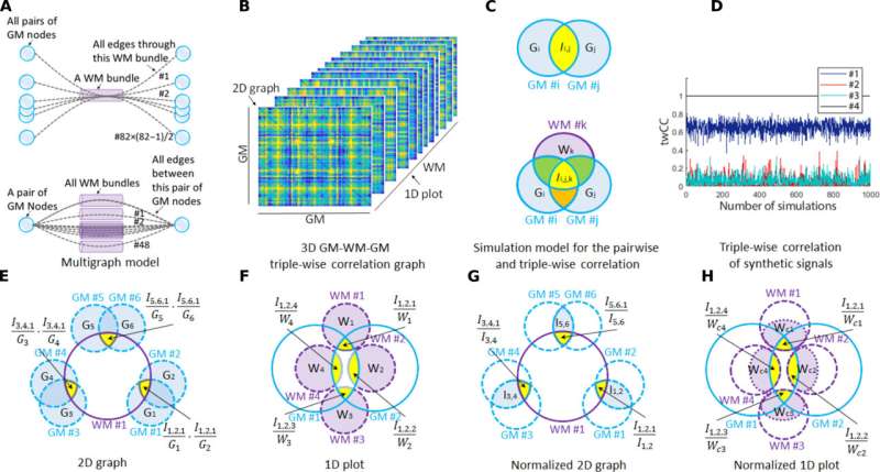 Illustration of the triple-wise correlation network model. Credit: Science Advances (2024). DOI: 10.1126/sciadv.adi0616