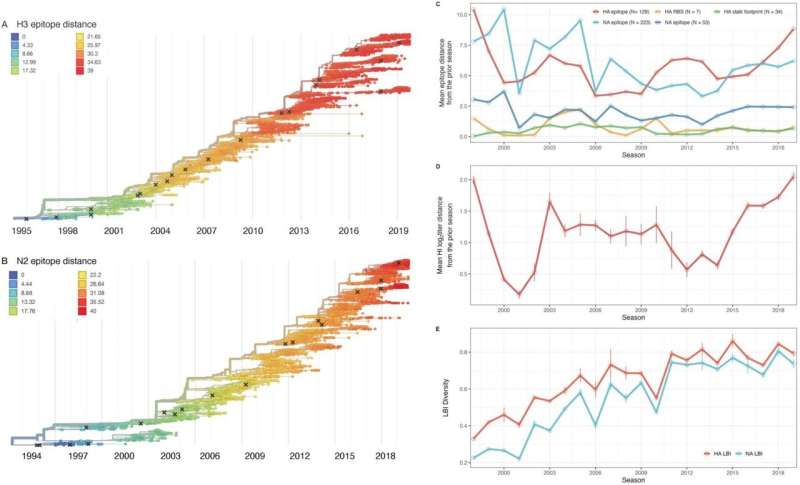 Interactions between flu subtypes predict epidemic severity more than virus evolution