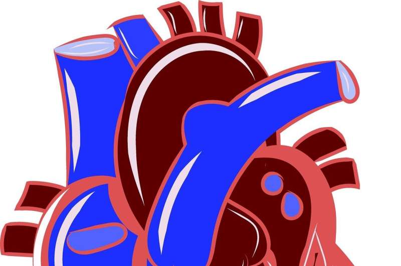 Genetic testing pinpoints cardiovascular risk in patients with aortic disorders