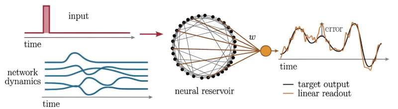 Spike threshold heterogeneity affects the function generation properties of spiking neural networks. (A) Reservoir computing architecture used for function generation. A pulse is fed into a recurrent neural network and a linear readout is trained to minimize the mean squared error between a target time-dependent function and a network output obtained as a linear combination of the stimulus-evoked neural dynamics within the network. Credit: Proceedings of the National Academy of Sciences (2024). DOI: 10.1073/pnas.2311885121