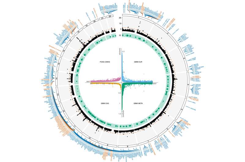 Study with over 11,000 individuals of African descent finds genetic variants linked to glaucoma