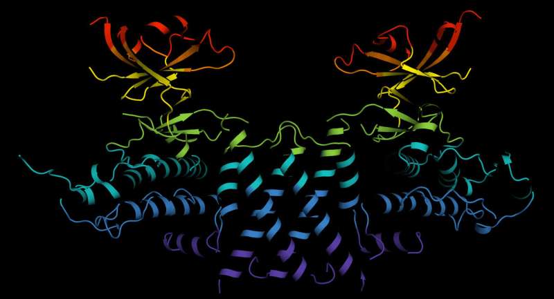 3-D 'scaffold' map to help the search for new cancer treatments